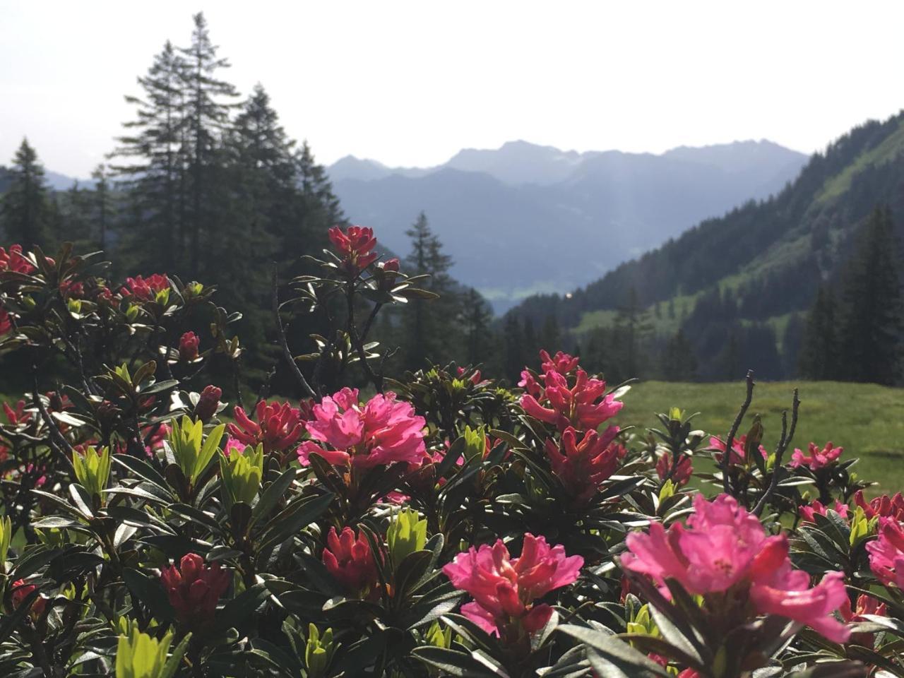 Auszeit Apartamento Obermaiselstein Exterior foto